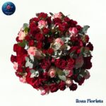 Luxury Mixed Roses Bouquet Milan fresh premium mixed roses