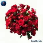 Scarlet Rose Daisy Bouquet Milan fresh scarlet roses and daisies