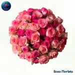 Pink Bokay with fresh seasonal pink flowers in Milan