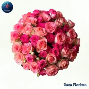 Pink Bokay elegant pink flower bouquet symbolizing love and tenderness perfect romantic gift in Milano