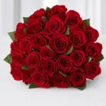 Rosa Rosso Milan classic fresh red rose gift