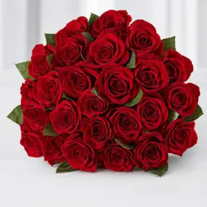 Rosa Rosso Milan classic fresh red rose gift