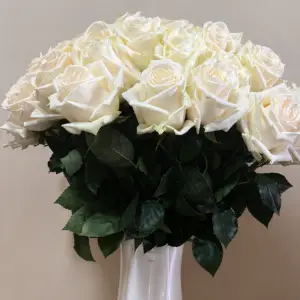 White Love elegant fresh white flower bouquet symbolizing purity, peace, and timeless romantic elegance for gifting.