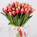 Bicolore Tulipani elegant dual color tulip bouquet symbolizing beauty and joy perfect gift in Milano