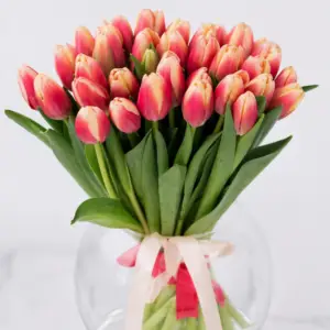 Bicolore Tulipani elegant dual color tulip bouquet symbolizing beauty and joy perfect gift in Milano