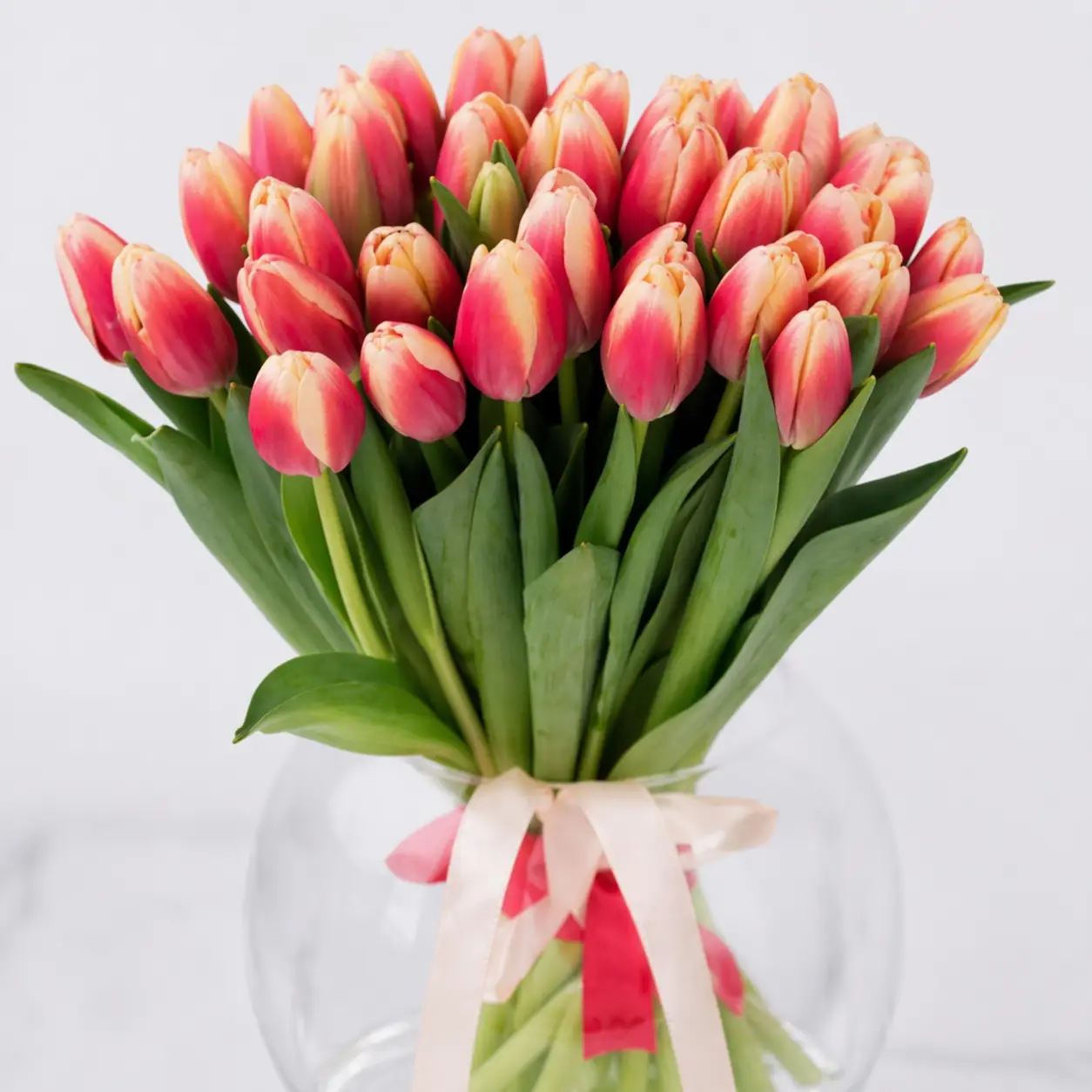 Bicolore Tulipani elegant dual color tulip bouquet symbolizing beauty and joy perfect gift in Milano