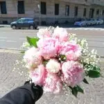 Peonia Rosa Milan elegant seasonal pink peony bouquet