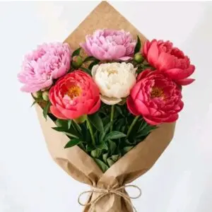 5 Peonies Mixc