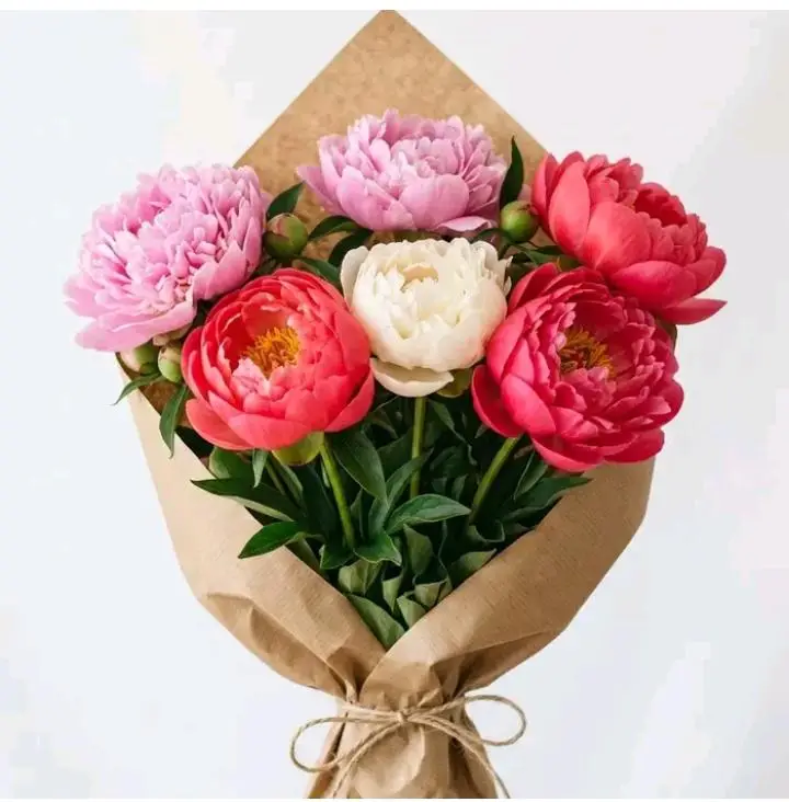Order the Best 5 Mixed Peonies in Milan, a fresh and elegant peony bouquet featuring five beautiful seasonal peonies in soft mixed colours. Perfect for birthdays, anniversaries, romantic surprises, thank-you gifts, Mother’s Day, congratulations, and graceful flower delivery in Milan.