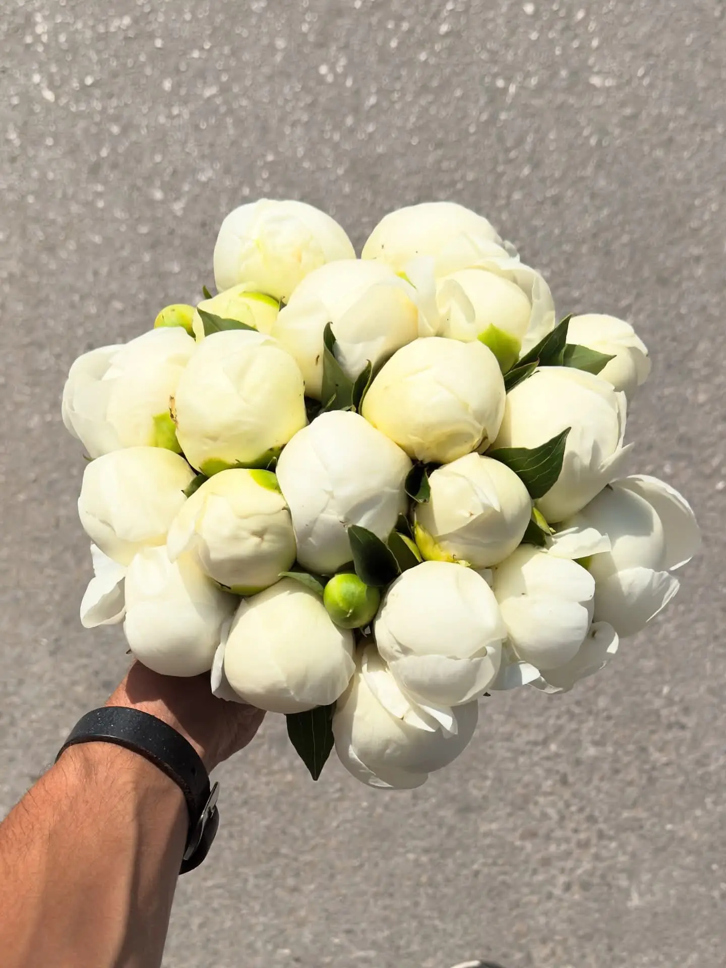 Peonies Wihte luxury white flower bouquet with fresh elegant blooms for gifting in Milano
