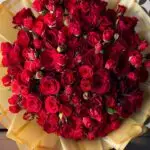 Your Love Rose premium romantic single rose perfect for gifting love and emotions in Milano