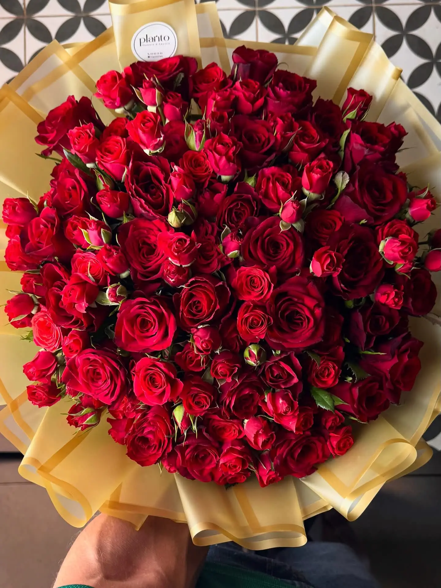 Your Love Rose premium romantic single rose perfect for gifting love and emotions in Milano