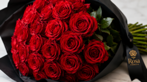 Close-up of premium red roses and stems