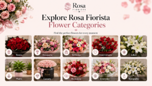 Explore Rosa Fiorista Flower Categories