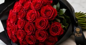 Close-up of premium red roses and stems