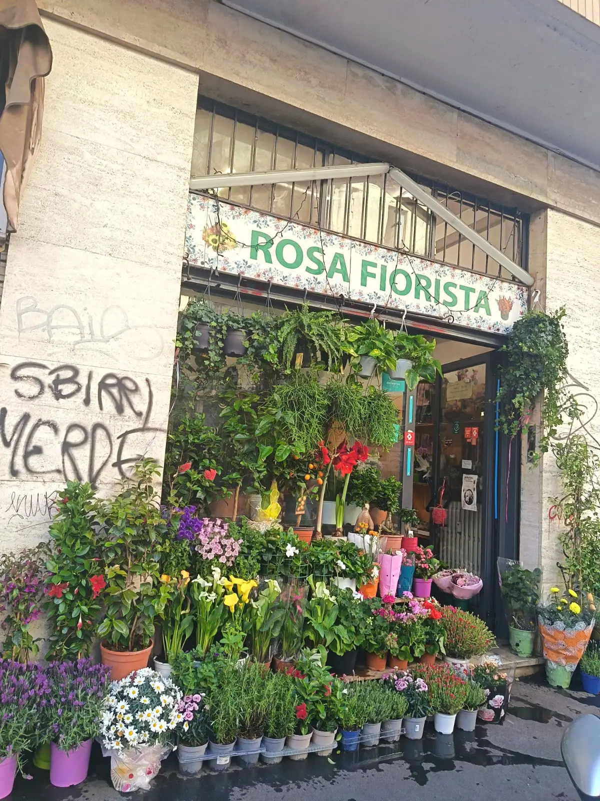 Rosa Fiorista Flower Shop Milan