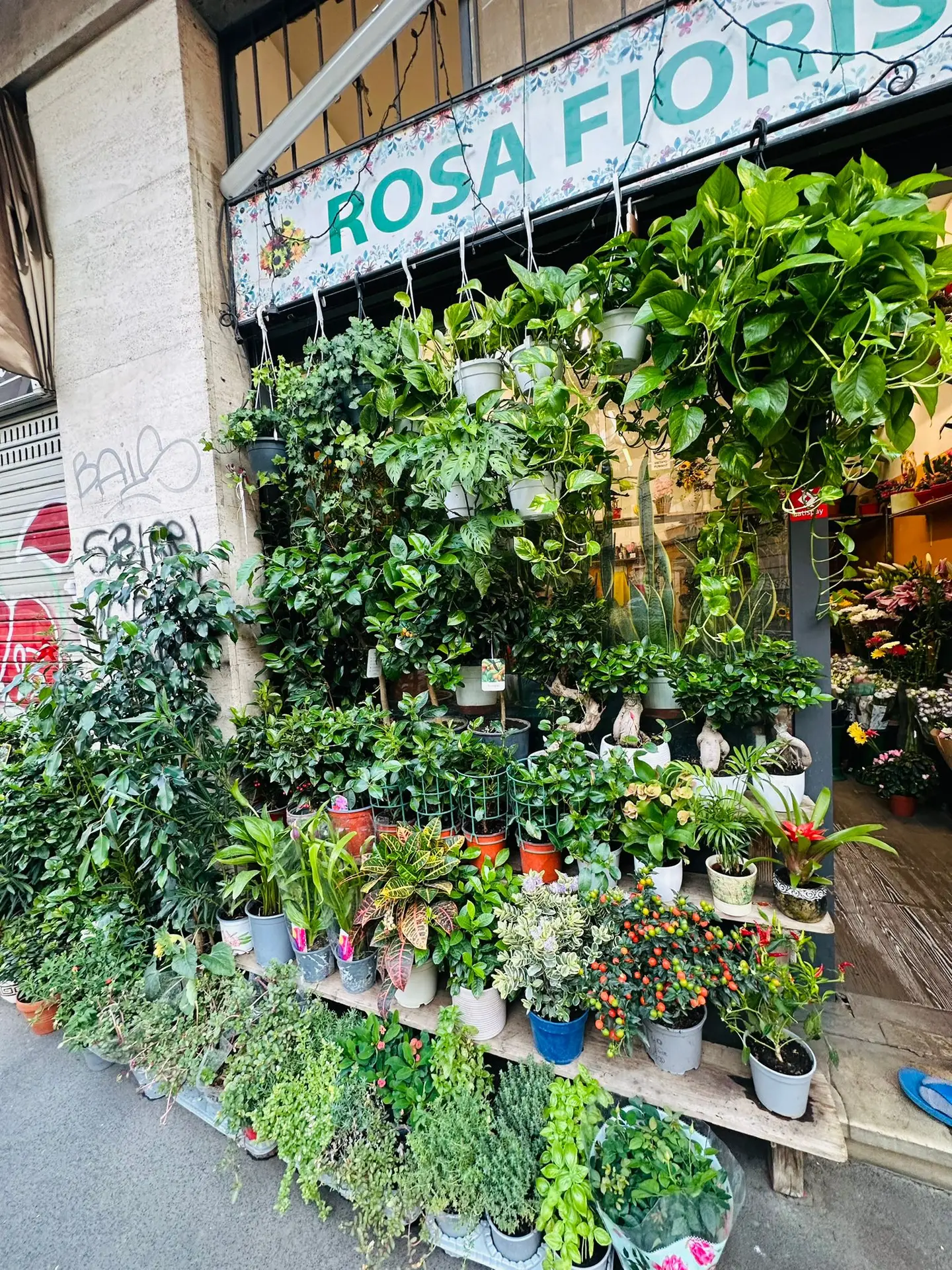 Rosa Fiorista Italy Flower Shop