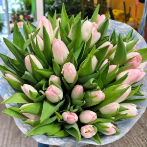 Tulipani E Rosa Colore