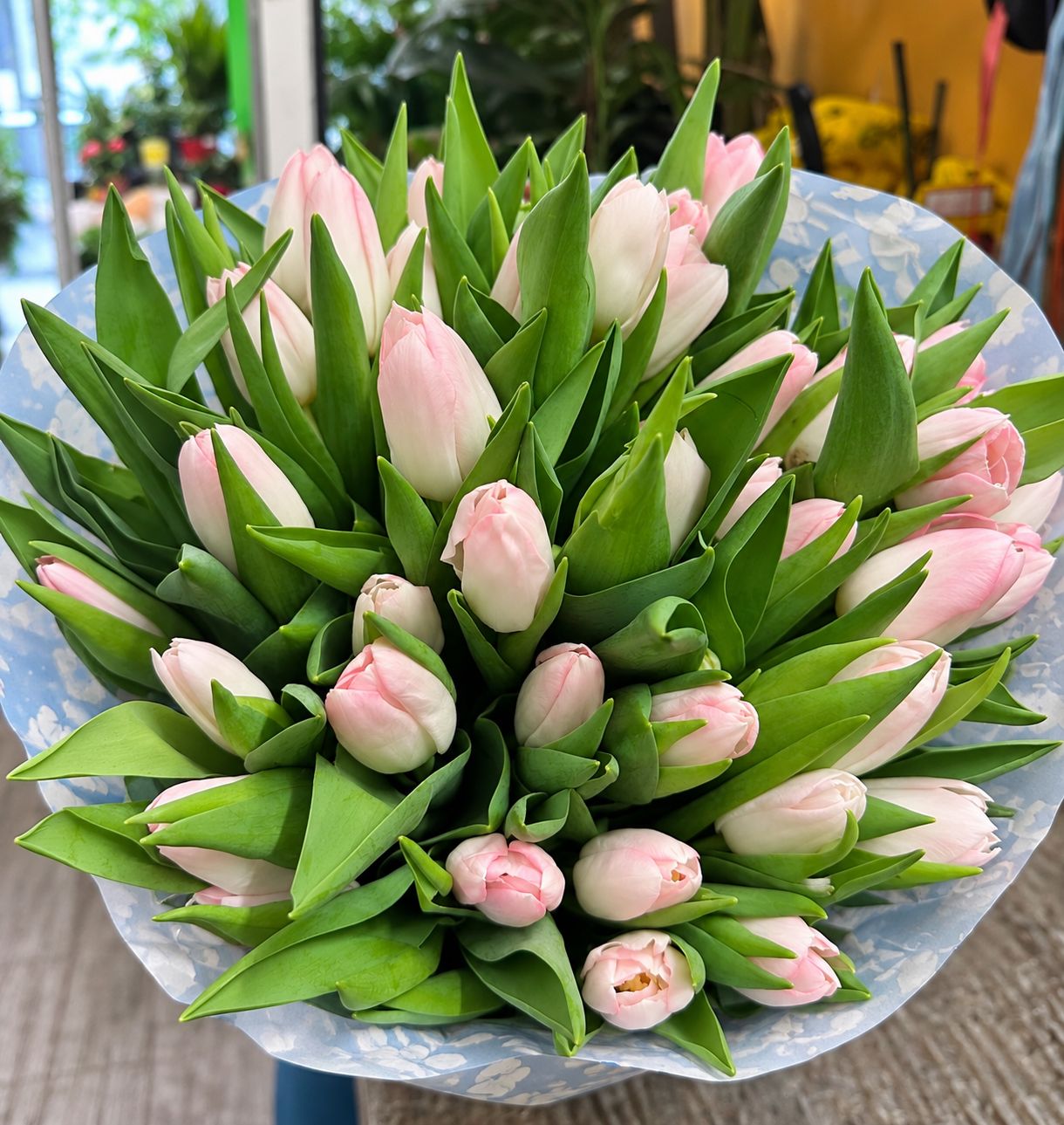 Tulipani E Rosa Colore