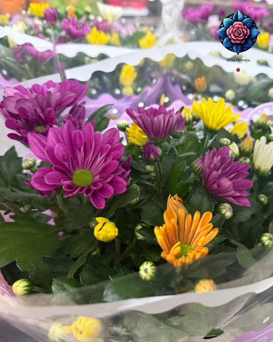 Margarita Mixo Pianta mixed flowering plant arrangement in Milan