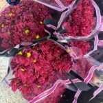 Margarita Per Piece fresh daisy flower stem in Milan