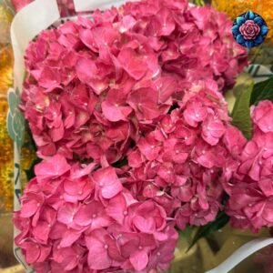 Ortensia Per Pieces fresh hydrangea flower stem in Milan