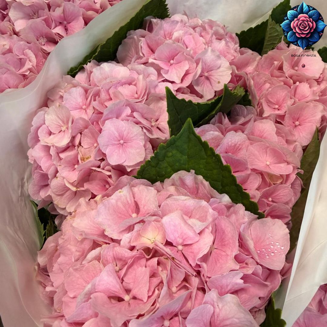 Ortensia pink color Per pieces