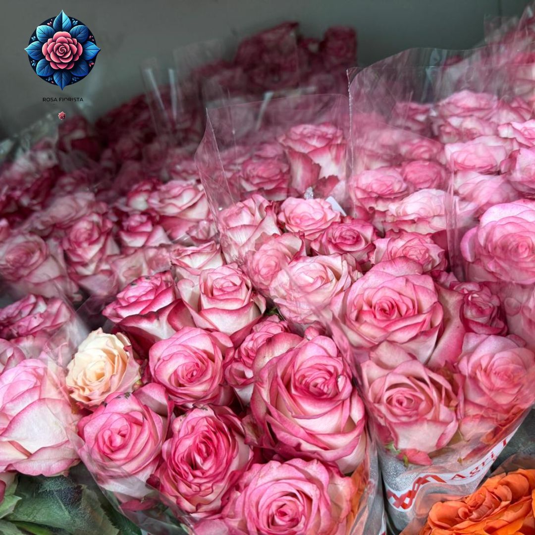 Fresh pink color rose flower available per piece for custom bouquets in Milan