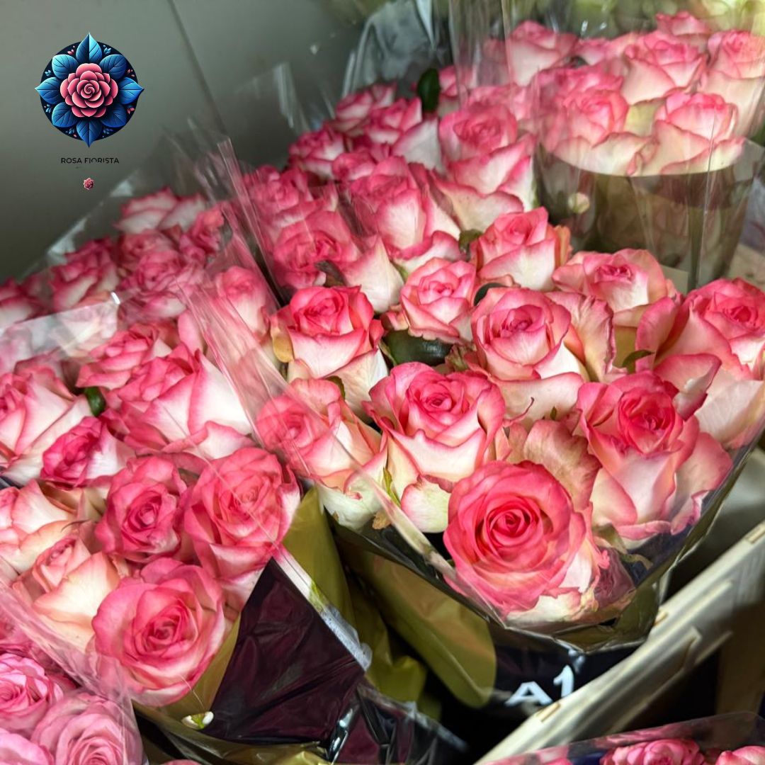 Single pink rose bouquet stem with elegant fresh petals from Rosa Fiorista Milan