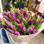 Tulipani Colore Viola 50 Pieces Rosa Fiorista