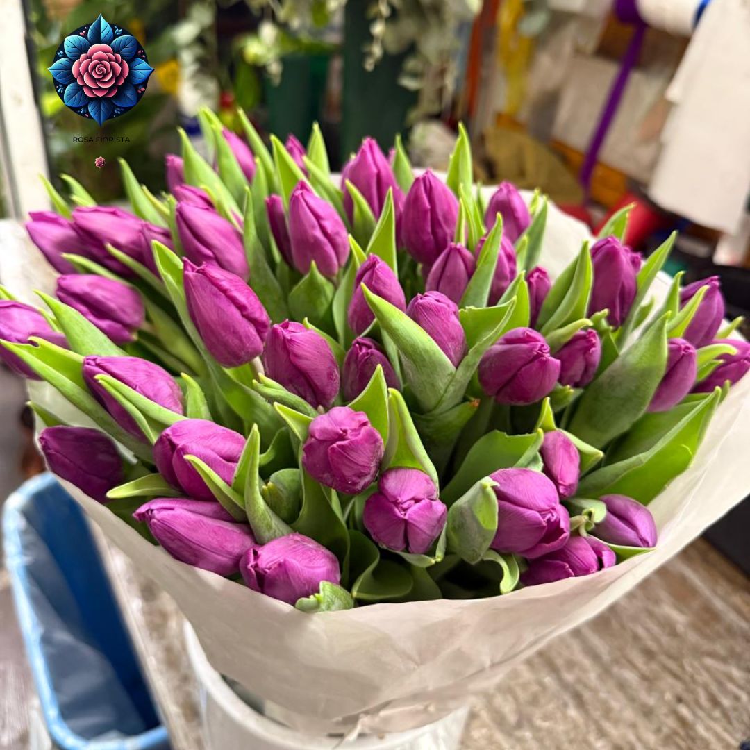 Tulipani Colore Viola 50 Pieces Rosa Fiorista