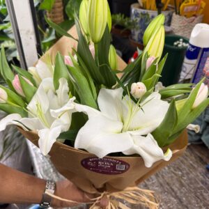 Tulipani Lilium Mixto