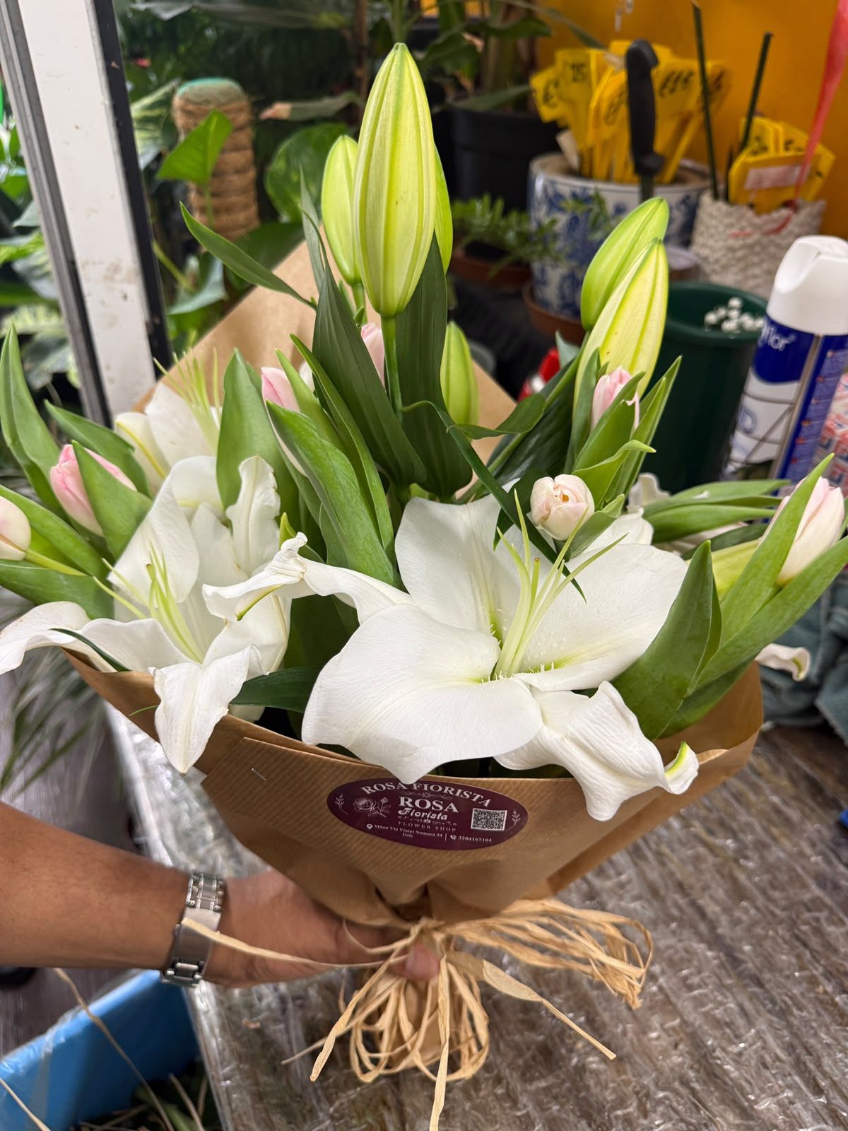 Tulipani Lilium Mixto