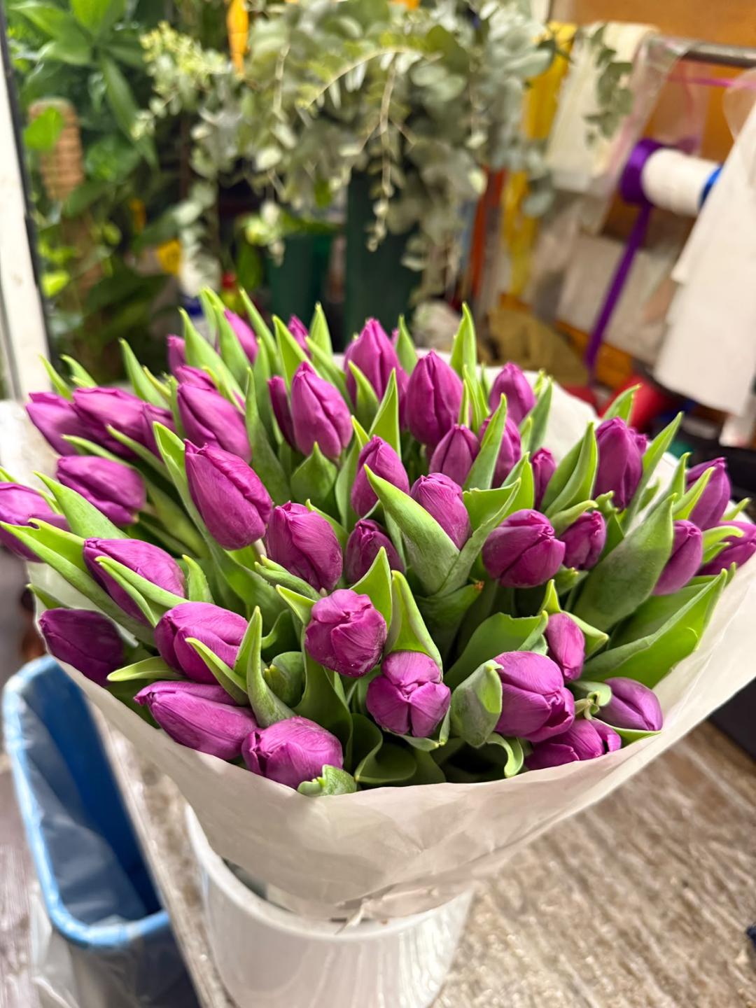 Tulipani bouquet 50 piece