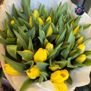 Yello Tulipani Per Pis fresh yellow tulip stem in Milan