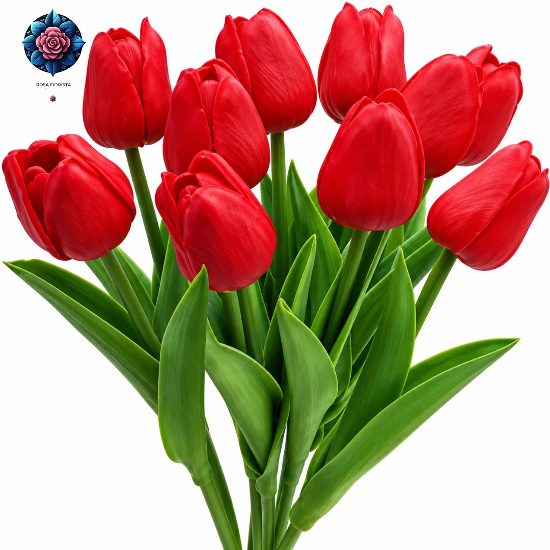 Bouquet di 10 Tulipani Rossi with fresh red tulips arranged in Milan