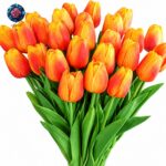 Bouquet di Tulipani Arancioni with fresh orange tulips arranged in Milan