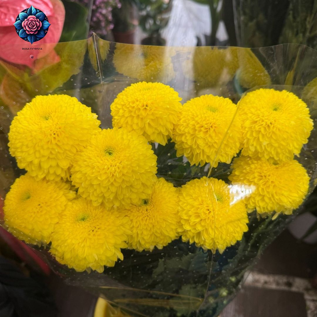 Crisantemo Pompon Giallo, 10 yellow pompon chrysanthemums from Rosa Fiorista in Milano.