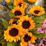 Fresh Sunflower available for €4 per piece in Milan