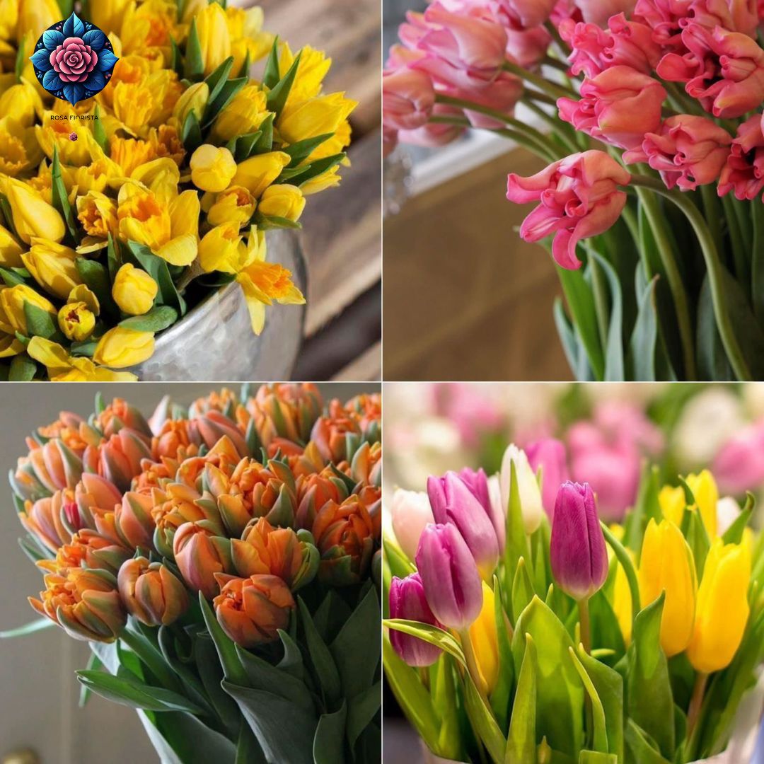 Tulipani Misti Colorati fresh colourful tulips beautifully arranged in Milan