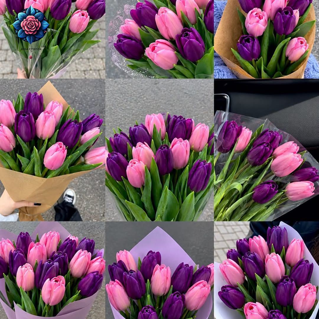 Tulipani Rosa e Viola fresh pink and purple tulips beautifully arranged in Milan