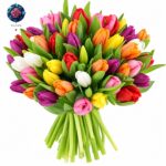Tulipani Misti 50 Pezzi fresh mixed tulips beautifully arranged in Milan